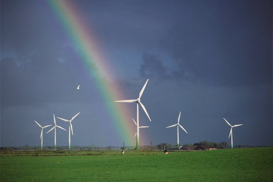 wind farm.jpg